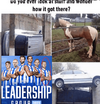 1697348198809.png