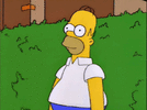 IMG_3654.gif