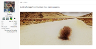 1699057397268.png 1699057397268.png