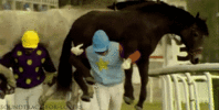 1699329905023.gif