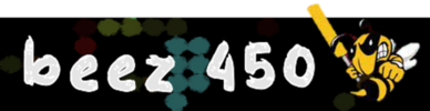 beez450.png