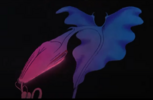 1699674514437.png
