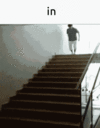 1699860295362.gif