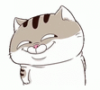 Cat cocquette 1621-cat.gif