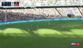 R19-Q3-1537_RothamBounce_gif2.gif