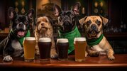 three-dogs-sitting-bar-glasses-beer-ai-four-300149940.jpg