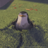 tdc_didntsee.gif tdc_didntsee.gif