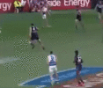 IMG_0488.gif