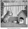 1702873595598.png