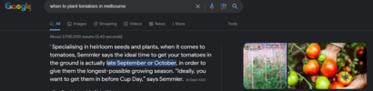 1703395792004.png