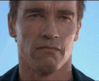 wam09-1285722530.gif