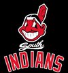 south indians logo.jpg