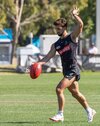 Josh Daicos IMG_5D4B4163.jpg