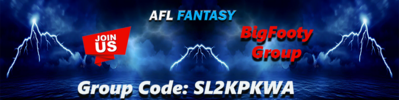 2024-BigFooty-Fantasy-Group-Code-Banner-x-250.png