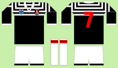 GC in North Sydney 1985 design b - Gold Coast seagulls 1990.png
