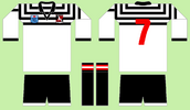 GC in North Sydney 1985 design c - Gold Coast seagulls 1990.png