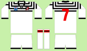 GC in North Sydney 1985 design d - Gold Coast seagulls 1990.png