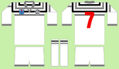 GC in North Sydney 1985 design e Gold Coast tweed Giants.png