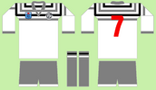 GC in North Sydney 1985 design f Gold Coast tweed Giants.png