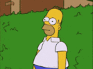 12078088-808C-4EC2-9C9B-40F67F2597E6.gif
