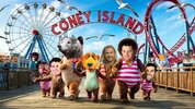 Bears in Coney Island.jpg