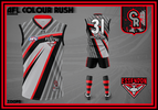 Essendon-Presentation-5.png