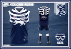 Geelong-Presentation-4.png