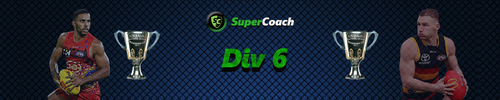 Banners-League-SC-Div-6.png