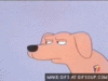 shifty eyes.gif