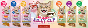 MY-Burp-Jelly-Cup-Dweb-Banner (1).gif