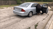 confronted-woman-abandoned-dogs-texas-42.gif