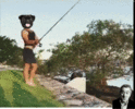 IMG_0770.gif