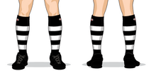 Port-Adelaide-Showdown ruck socks.png