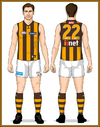06-Hawthorn-Uniform2014A-Back long Brown ruck socks with 3 Gold hoop stripes.png