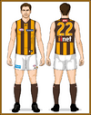 06-Hawthorn-Uniform2014A-Back With long Brown ruck socks.png