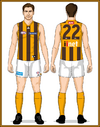 07-Hawthorn-Uniform2014C-Back With Gold collars and With Long Gold ruck socks.png