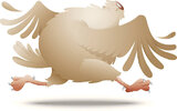 headless-chicken.jpg