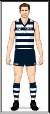 Geelong-Uniform1995 round 1.png