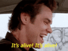 IMG_2281.gif