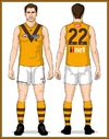 04-Hawthorn-Uniform-Jason-Clash Long Gold ruck socks with 3 brown stripes Gold collars.png