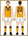 04-Hawthorn-Uniform-Jason-Clash Gold collars Long Ruck Socks.png