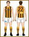 07-Hawthorn-Uniform2014C-Back With Long Gold ruck socks with 3 brown stripes Gold collars.png