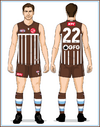 01-Port-Adelaide-Uniform-Jason1 Home Brown Hoop socks with white and sky blue stripes.png