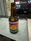 IMG_7746.JPG