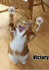 victory.jpg