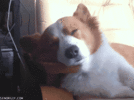 1714775130203.gif