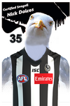 Nick-Daicos-Seagull.png