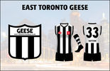 East Toronto Geese 3Presentation.png