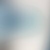 IMG_7939.jpeg