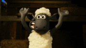 IMG_0286.gif IMG_0286.gif